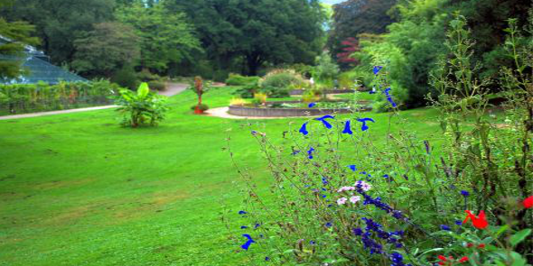 Freiburg Botanical Garden